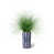 Tique bleue