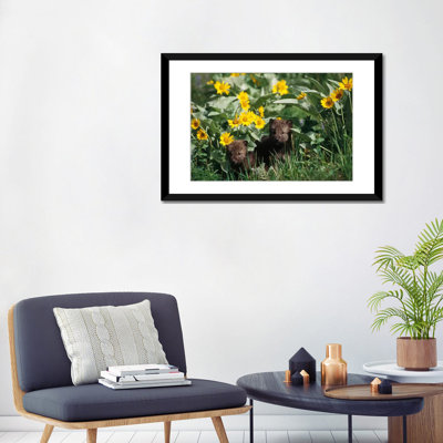 « bois de loups », reproduction de photo sur toile trempé north america