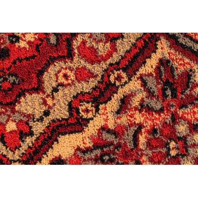 Drewery Oriental Area Rug