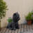 Terrier Flower Planter Black Plant Pot