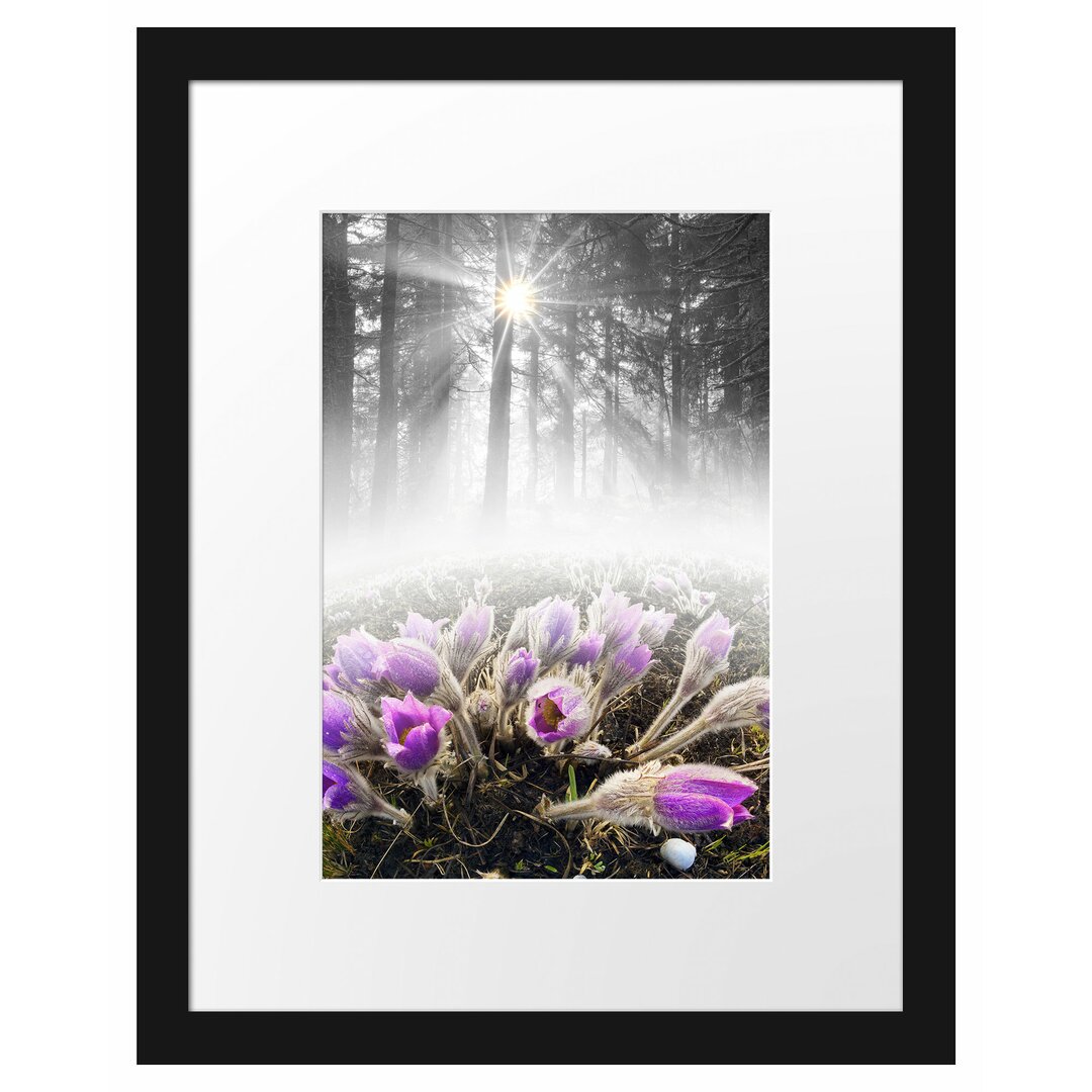 Blühende Waldblumen Gerahmter Fotokunstdruck