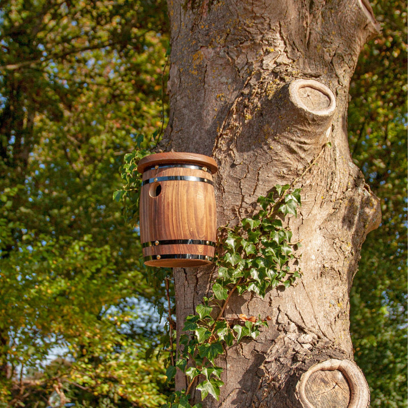 Nids d'oiseaux tonneaux