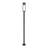 Esquibel 1-Light LED Lamp Post-1548618717