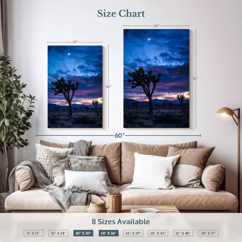 Aime Joshua Tree Park la nuit, H 36 po x l 24 po