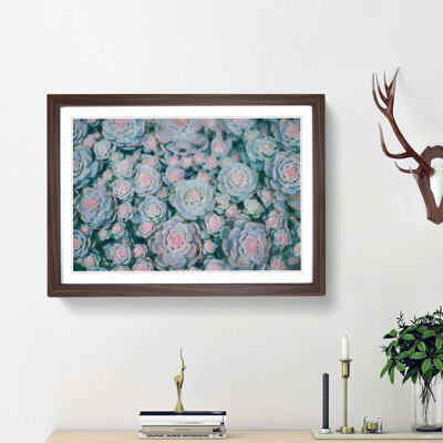 Succulent Plants - Picture Frame Painting Print