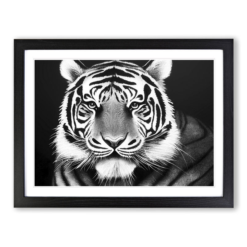 Monochrome Tiger Vol.5 - Framed Print, Black Framed, 46cm H x 64cm W x 2cm D