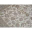 Wool Oriental Area Rug in Ivory/Khaki