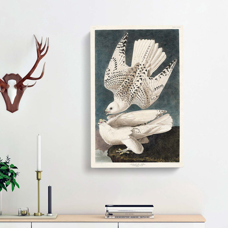 Two Gyrfalcons by John Audubon - Wrapped Canvas, 60cm H x 40cm W x 3cm D