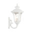 Lanterne murale d'extérieur H 19 po Lunar-602534098