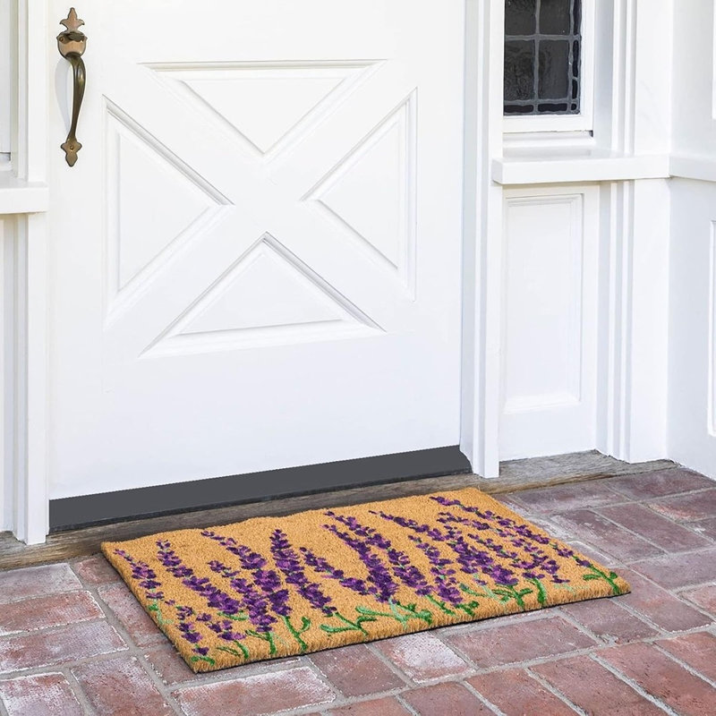 Tapis de porte - Tapis de bienvenue pour porte d'entrée, intérieur, ...