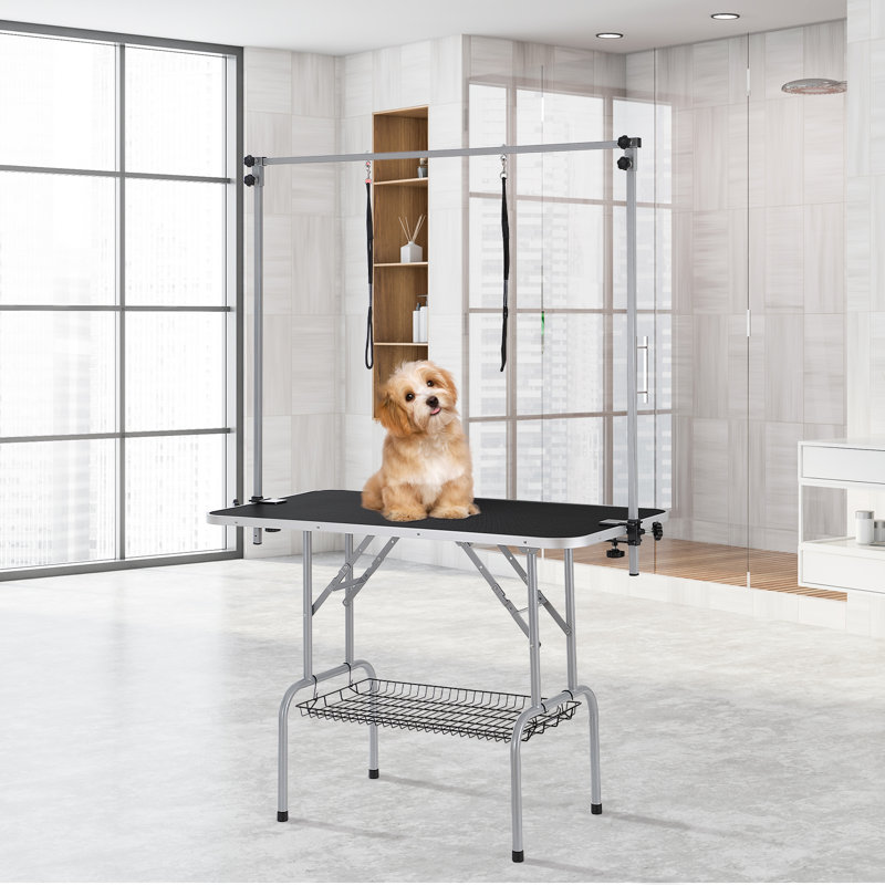 Black Stainless Steel Pet Grooming Table with Clamp