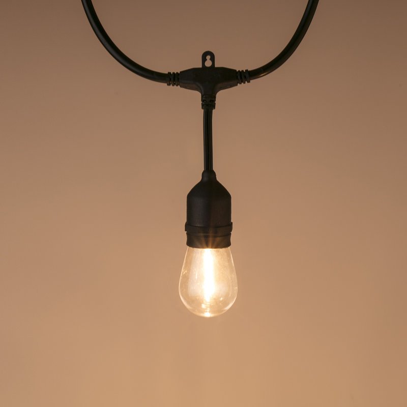 Cortlynn Outdoor 30 - Bulb 96'' Plug-in String Light