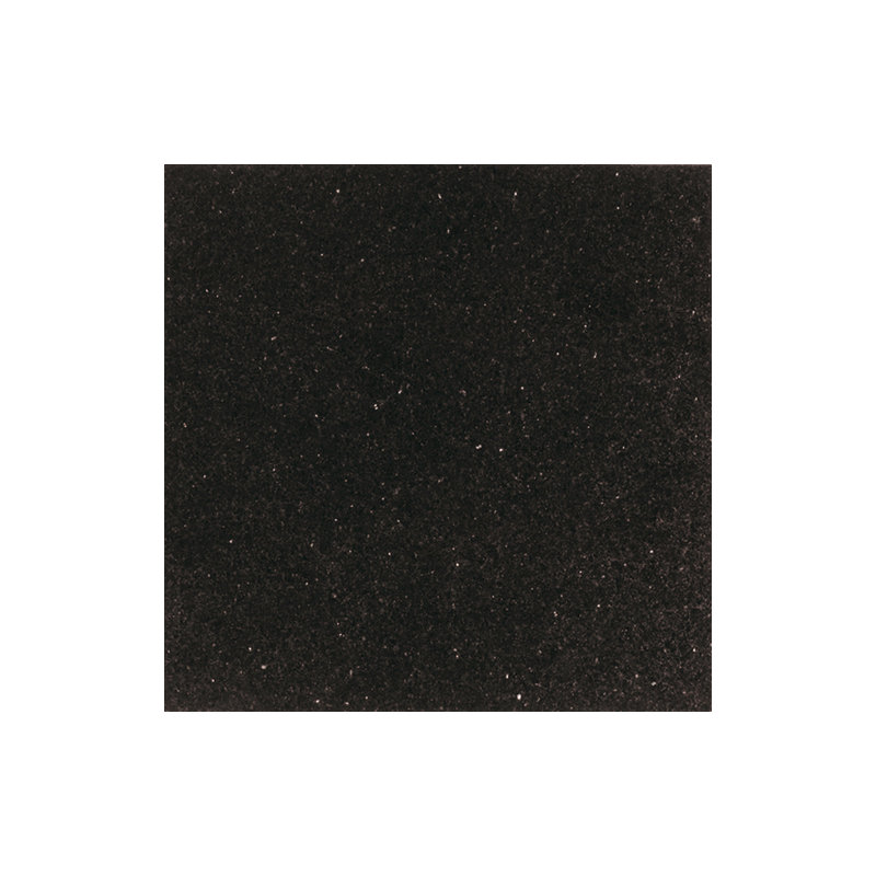 Granite Collection 12" x 12" Natural Stone Field Tile in Galaxy Black