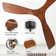 Nicola 52" 3 - Blade Standard Ceiling Fan with Remote Control