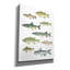 «Fresh Catch 5» par James Wiens, art mural sur toile-316863629