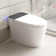 Smart Toilets With Heated Bidet Seat.Portable Toilet With Bidet Built.Intelligent Toilet Auto Open/Close Seat. Bidet Toilet With Dryer And Warm Water