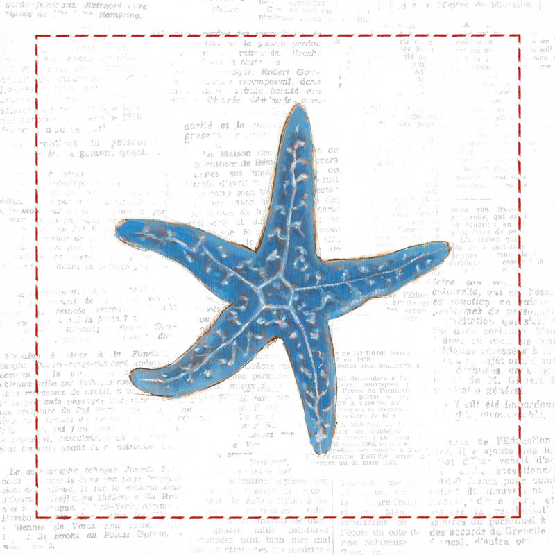 Étoile de mer bleu marine sur papier journal par Emily Adams - impression sur toile tendue, H 12 po x l 12 po