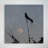 Silhouette Of Bird On Tree Branch During Sunset - " Silhouette Of Bird On Tree Branch During Sunset " Painting Print