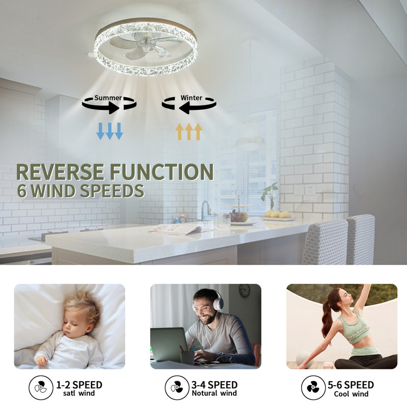 Lavail 20'' Ceiling Fan with LED Lights