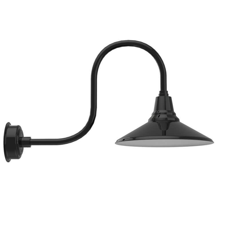 Luminaire de grange d’extérieur à del Albali, H 9 po x l 16 po x P 17 po, Noir