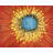Blue Floral Polyester Placemat - Closeup on a Red Flower Decor
