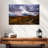 Roadside Aspen Trees-48884993