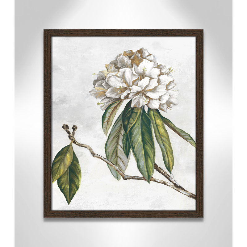 «Pearly Beauty II» par Eva Watts, Grain de bois noyer, L 16 po x H 19 po, Impression encadrée