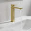 Robinet de lavabo de salle de bain à un trou avec bonde escamotable et trou simple-120276111