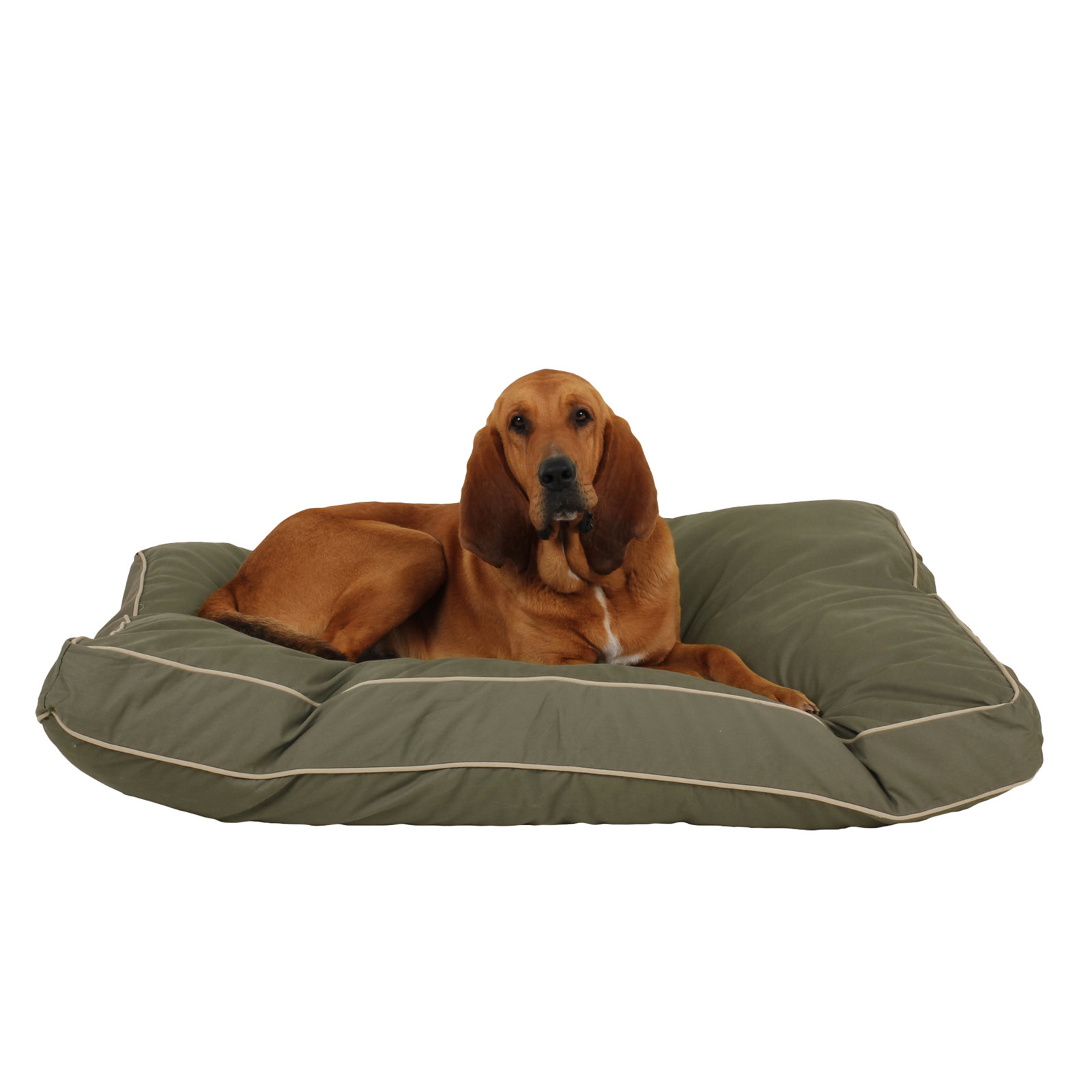 Orthopedic Foam Pet Bed with Washable Cover, Large (48" W x 36" D x 4" H), Sage/Khaki