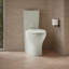 Persuade Curv Dual-Flush Toilet Tank-1346336587