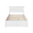 Kindig Solid Wood Platform Bed with Panel Footboard and Trundle-99157365-99157367