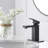 WIZ Single Handle Single Hole Low-Arc Bathroom Faucet-107558792