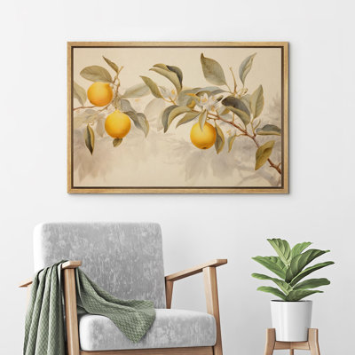 Fruits " Peach Fruit And "