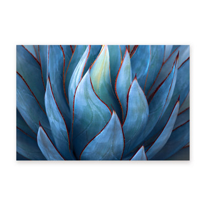 Nature Inspired Blue Agave Abstract by  - Picture Frame Graphic Art on Paper
