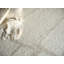 Kokomo Flatweave Wool Area Rug in Beige-1950011629