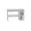 Lelia Computer Desk With Cabinet-262457190