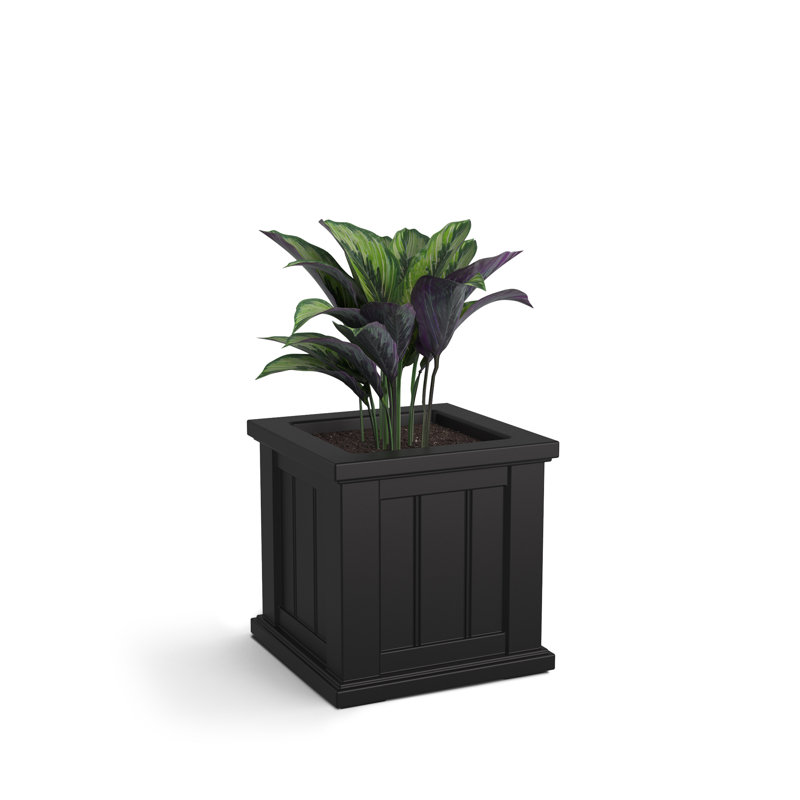 Selevae Resin Planter Box with Water Reservoir, 14" H x 14" W x 14" D, Black