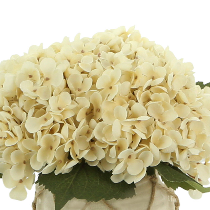Hydrangea in Distressed Glaze Planter