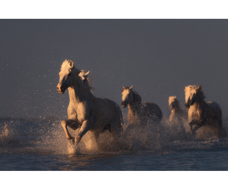 Wrapped Canvas Print, 50.8 cm H x 76.2 cm W