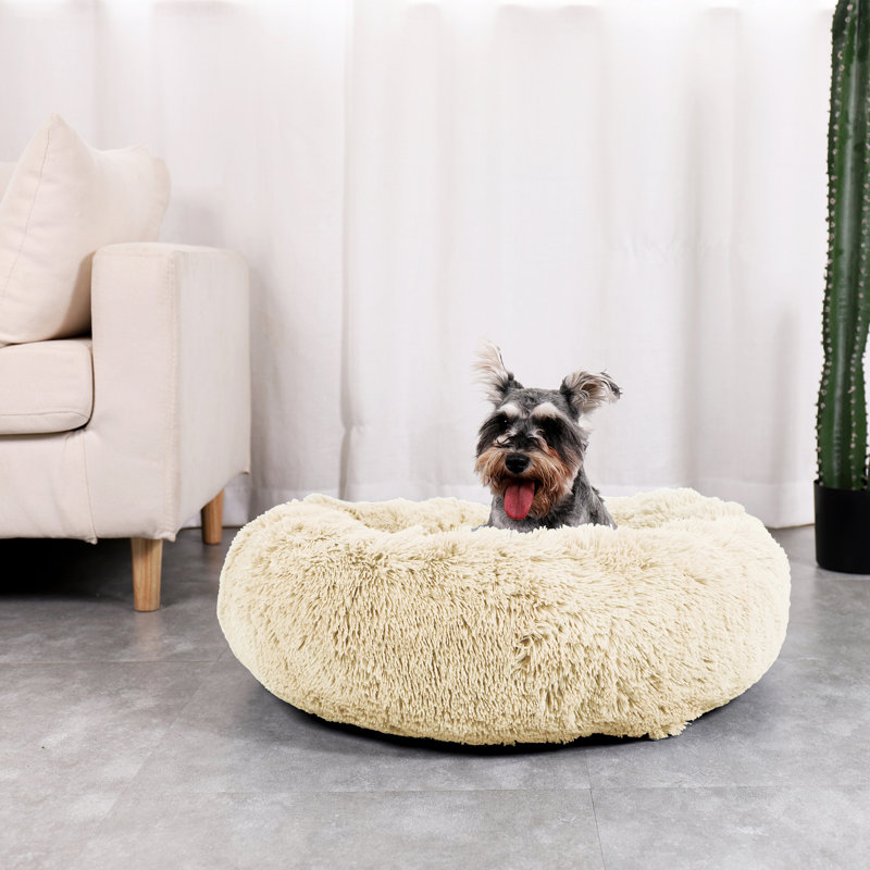 Polyester Pet Bed, Extra Small (58.4cm W x 58.4cm D x 15.2cm H), Ivory