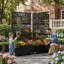 Boîte à fleurs avec métal H 72 po x l 35 po Acre-714329747