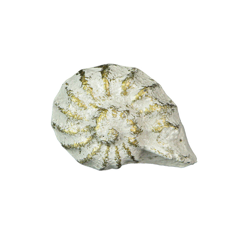 Nautilus Shell Novelty Pull Multipack, White