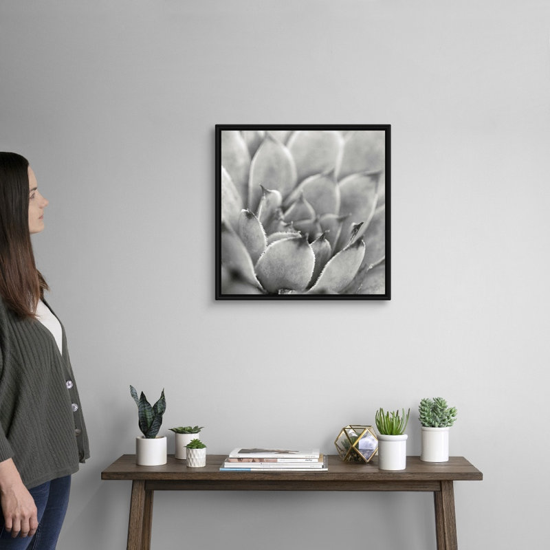 «Garden Succulent I», art mural sur toile, H 20 po x l 20 po x P 1,75 po, Toile avec cadre noir