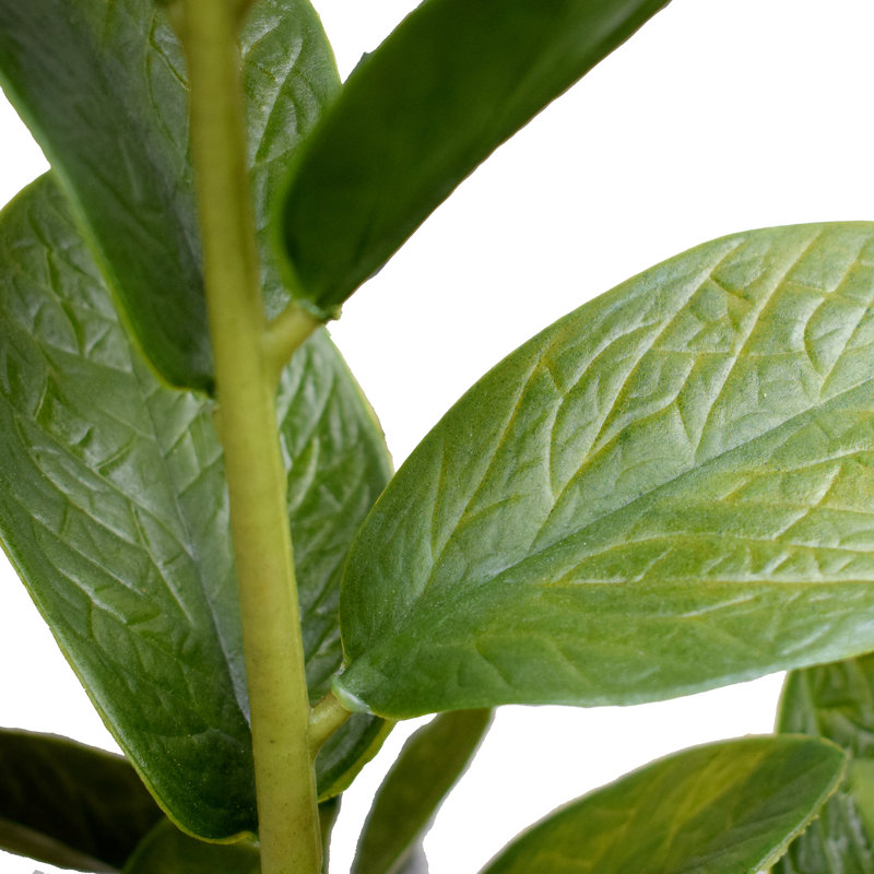 Plante grasse artificielle 22,5 po en pot