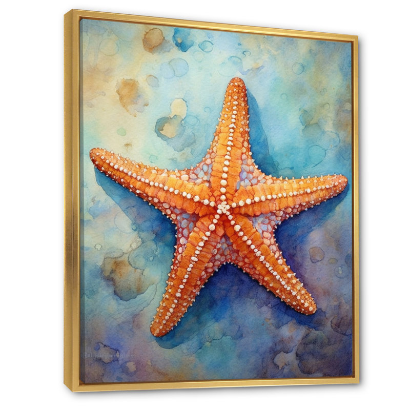 Spinny Starfish II - Starfish, art mural, H 40 po x l 30 po x P 1,5 po, Cadre flottant doré