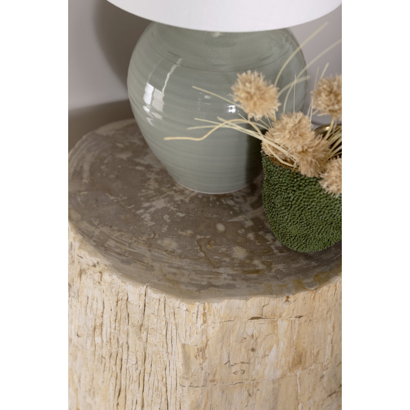 Petrified Solid Wood Tree Stump End Table