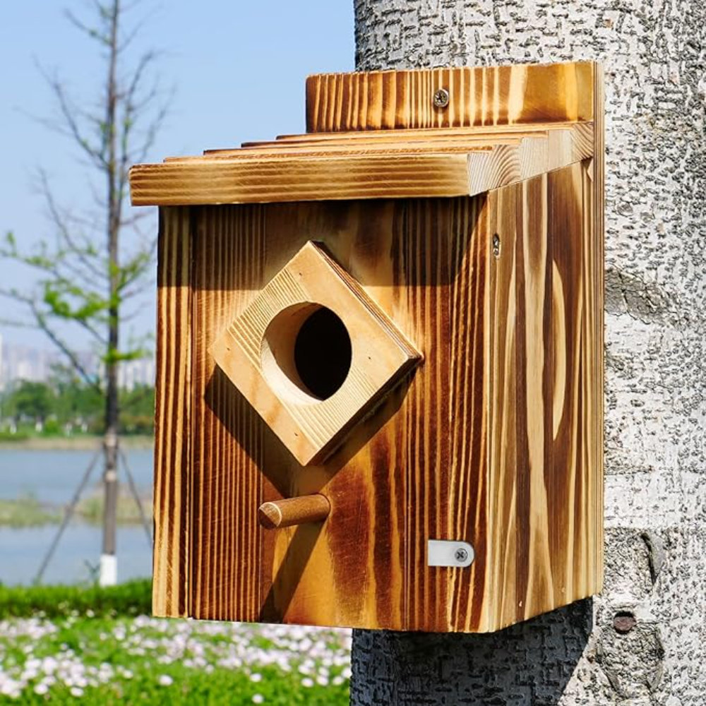 Millwood Pines Waterproof Wooden Blue Bird House, Spray Paint Treatment ...