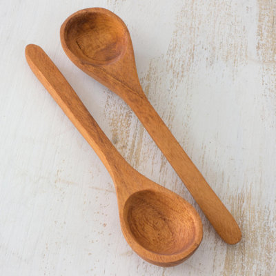 Curiel Serving Spoon