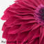  Housse et insert de coussin décoratif en tournesol Appliqued-717990337-717990373