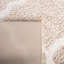 Tapis beige / blanc Daneshia-1567588168